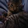 photo_814803