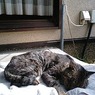 photo_814863