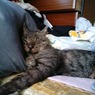 photo_814899