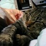 一緒に寝ますzzz