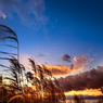 North Wind