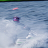 IMGP9292