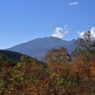 白樺峠　タカの見の広場