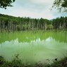 青い池の憂鬱