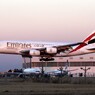 エミレーツ航空　さくらの丘