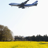 日本貨物航空　菜の花と