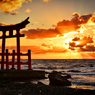 金比羅SUNSET