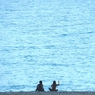 海