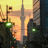 「夜明けの東京スカイツリー」IMG_0967