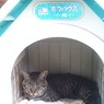 「アンタの家じゃないから；」