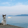 さわやかなお天気
