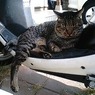 ちょっとセクシィ