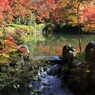 流れの紅葉