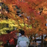 京美人と紅葉