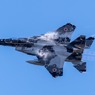 アグレッサー