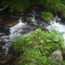 川