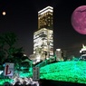 41 Jet in The Wine Red Moon.