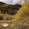 田代橋から