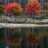 西ウレ峠 紅葉