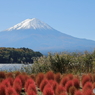 富士山と河口湖14
