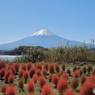 富士山と河口湖17