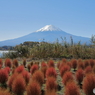 富士山と河口湖18