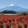 富士山と河口湖36