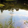 秋ゆえに