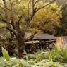 嘉門次小屋