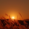 曽爾高原の夕暮れ
