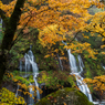 吐竜の滝　秋景