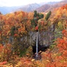 白水の滝秋の彩