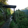 yakushima_02