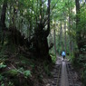 yakushima_04