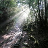 yakushima_05