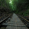 yakushima_07