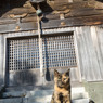 神社でパチリ