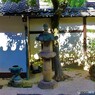 秋風に揺れ