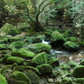 yakushima_14