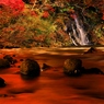 中野もみじ山の秋 I