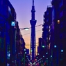 「夜明けの東京スカイツリー」DSC_1103