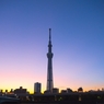 「夜明けの東京スカイツリー」DSC_1115