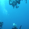 P1010059