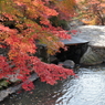 紅葉 in 三郎の滝(2)  181108-062