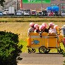 夢を運んで