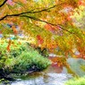 湧水地　秋の訪れ