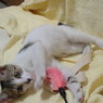DSC00721