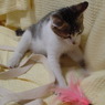 DSC00722
