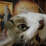 DSC01090