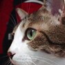 DSC03826